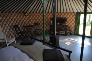 莫尔德Penbedw Uchaf Estate - Rural retreats, tennis的蒙古包内带一张床和炉灶的房间