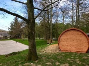 莫尔德Penbedw Uchaf Estate - Rural retreats, tennis的相册照片