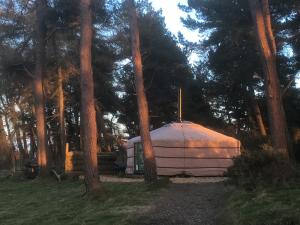 莫尔德Penbedw Uchaf Estate - Rural retreats, tennis的相册照片