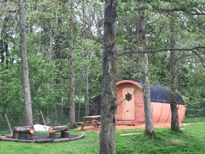 Penbedw Uchaf Estate - Rural retreats, tennis外面的花园