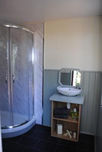 Penbedw Uchaf Estate - Rural retreats, tennis的一间浴室