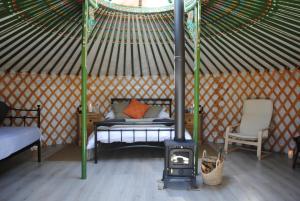 莫尔德Penbedw Uchaf Estate - Rural retreats, tennis的圆顶帐篷内带1张床位的客房配有炉灶