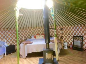 Penbedw Uchaf Estate - Rural retreats, tennis客房内的一张或多张床位