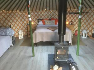 莫尔德Penbedw Uchaf Estate - Rural retreats, tennis的蒙古包内带炉灶的卧室,配有一张床