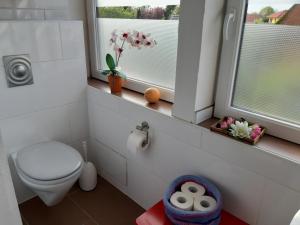 a bathroom with a toilet and two windows at Bassener Monteurwohnung in Oyten +17 photos