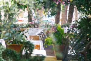 Heritage Hotel Park Hvarにある庭