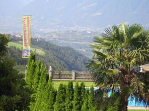 a palm tree in front of a building with a view at Gasserhof Garni & Apartment in Schenna