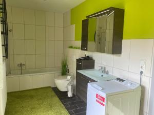 a bathroom with a sink and a toilet and a mirror at Frankenwaldwohnung in Stockheim +13 photos