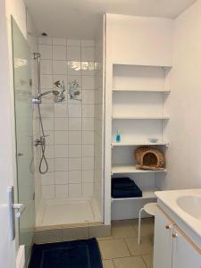 un bagno con doccia e lavandino di Pied à terre pour des vacances au bord de la mer a Le Conquet