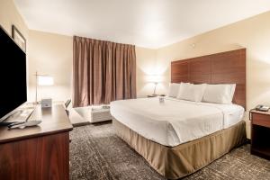 Televiisor ja/või meelelahutuskeskus majutusasutuses Cobblestone Hotel & Suites - Andrews