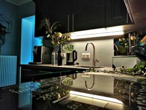 Kuchnia lub aneks kuchenny w obiekcie Villa Komposch - adults only