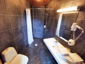 a bathroom with a toilet, sink, and shower stall at Gudvangen Fjordtell in Gudvangen