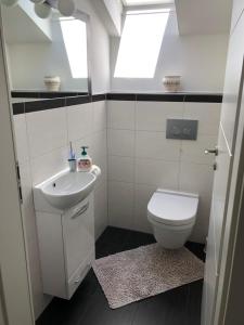 a small bathroom with a toilet and a sink at Haus Lauria in Kressbronn am Bodensee