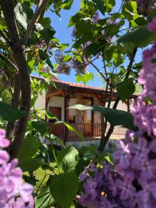 una casa a través de los árboles con flores púrpuras en Karali Apartments, en Lagadin