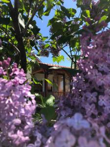 una casa tra gli alberi con fiori viola di Karali Apartments a Lagadin