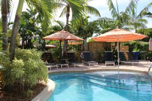 a swimming pool with two umbrellas and chairs and a pool at The Cabanas Guesthouse & Spa - Gay Men's Resort in Fort Lauderdale