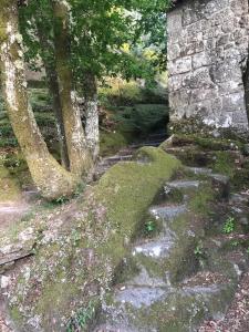 Fotografia z galérie ubytovania Casiña Rústica proximidades Ribeira Sacra v destinácii Ourense