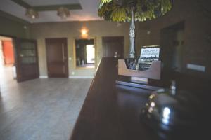 a wooden counter in a room with a plant at Hotel Magnat in Suchedniów