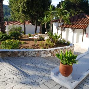 a potted plant sitting on a stone walkway at Villa Elpiniki in Troulos