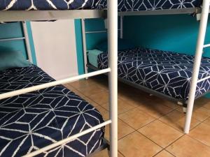 Darwin Hostel客房内的一张或多张床位