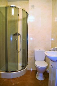 a bathroom with a shower and a toilet and a sink at Willa Ostoja in Lublin +3 photos