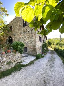 Afbeelding uit fotogalerij van Agriturismo Attulaio in Vicchio