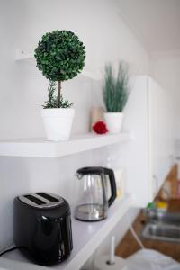 a kitchen counter with a tea kettle and potted plants at Apt 201 - Andenes Whale Safari Apartments in Andenes