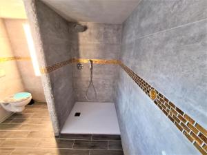 ein Bad mit einer Dusche und einem WC in der Unterkunft Chalet Bad Tölz in Bad Tölz