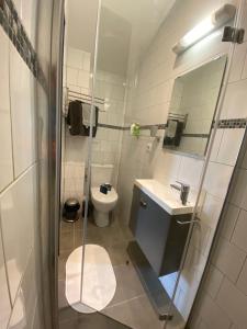 サン・テミリオンにあるLogis des Juratsのバスルーム(トイレ、洗面台、鏡付)