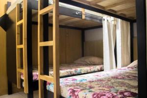 two bunk beds in a room with a bed at Bunks Hostel in Cebu City