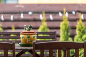 Gallery image of Nendrių Apartamentai 3 in Palanga