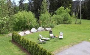 Zahrada ubytování CHALET BELLE WILD by Belle Stay