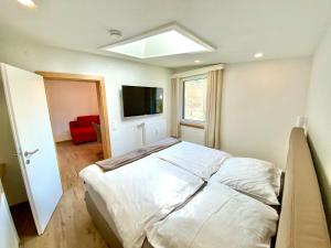 1 dormitorio con 1 cama grande y TV en Loft in Wasserstrasse en Bad Kleinkirchheim