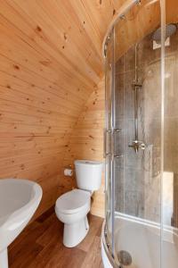 a bathroom with a toilet and a bath tub at Pods at Broadway in Carmarthen