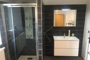 La salle de bains est pourvue d'une douche, d'un lavabo et d'un miroir. dans l'établissement Chez Marcel, à Fauvillers