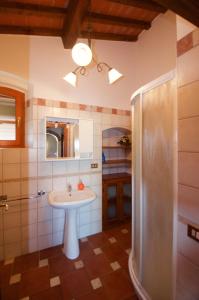 a bathroom with a sink and a shower at CASE&COLLINE Podere S'Ignazio in Montescudaio