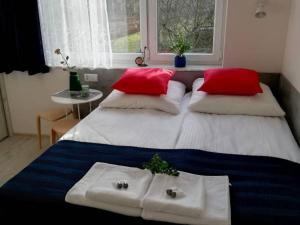 duże łóżko z czerwono-białymi poduszkami i oknem w obiekcie Willa Malina w Ciechocinku