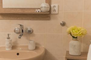 Koupelna v ubytování Apartmány U Sjezdovky