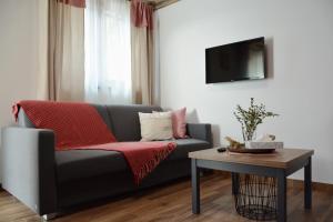 TV a/nebo společenská místnost v ubytování Apartmány POCO LOCO