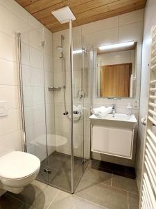 a bathroom with a shower and a toilet and a sink at Haus Claudia Lipp in Bad Hindelang