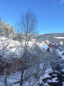 Příroda nedaleko apartmánu