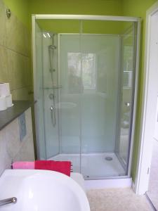 y baño con ducha y puerta de cristal. en Casa-Palo-Pique, en Icod de los Vinos