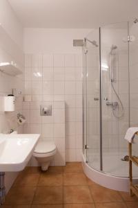 a bathroom with a shower and a toilet and a sink at Der Seewirt in Franking