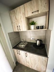 a kitchen with a sink and a counter top at Belvederska apartment 3 in Ivano-Frankivsʼk