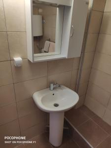 a bathroom with a white sink and a mirror at Apartman Pavle 2 in Virpazar