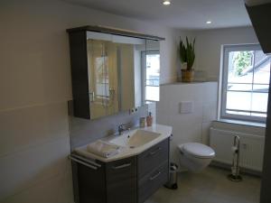 ein Badezimmer mit einem Waschbecken, einem WC und einem Spiegel in der Unterkunft Haus-Wolter in Goslar