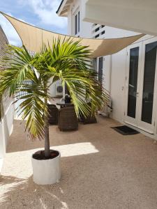 Fotografie z fotogalerie ubytování A1 APARTMENT budget at JAN THIEL Curacao v destinaci Jan Thiel