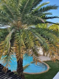 Bazén v ubytování A1 APARTMENT budget at JAN THIEL Curacao nebo v jeho okolí