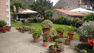 Posada de Muño في Muñorrodero: حديقة بها العديد من الأواني من النباتات والورود