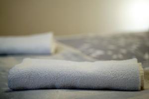 Posteľ alebo postele v izbe v ubytovaní Apartament Nałęczów dom pod orzechami